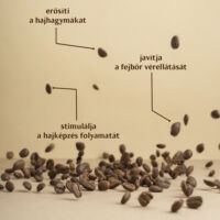 Kép 2/3 - Koffeines Intenzív Hajkúra hajhullás ellen - 2 ajándék termékkel