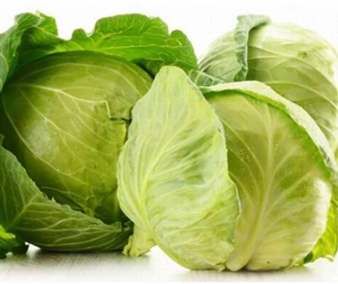 Káposzta - Brassica oleracea