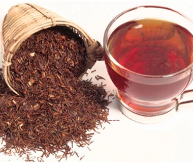 Vörös fokföldirekettye, Rooibos (Aspalathus linearis)