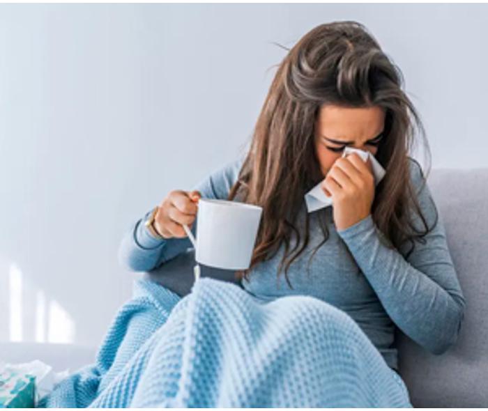 Nátha és influenza ellen a 10 legjobb gyógynövény