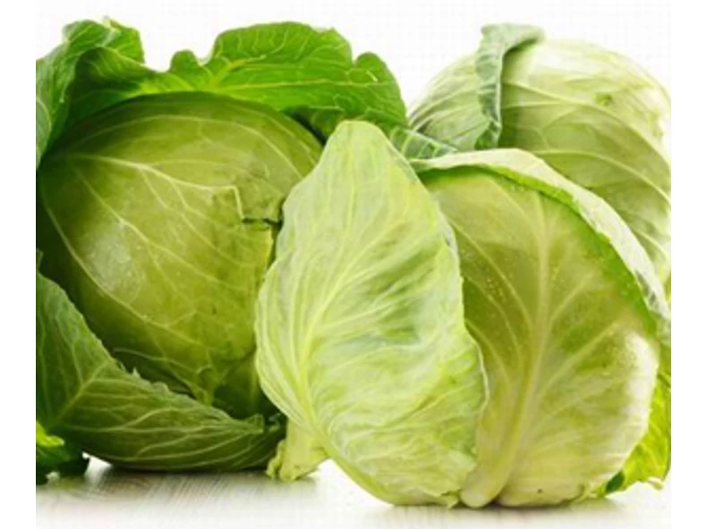 Káposzta - Brassica oleracea